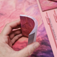 Fan Shell Notebook/Sticky Notes/Bookmarks/Pens