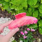 Fan Shell Hair Claw Clip