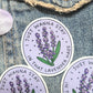 Lavender Haze Enamel Pin/Sticker
